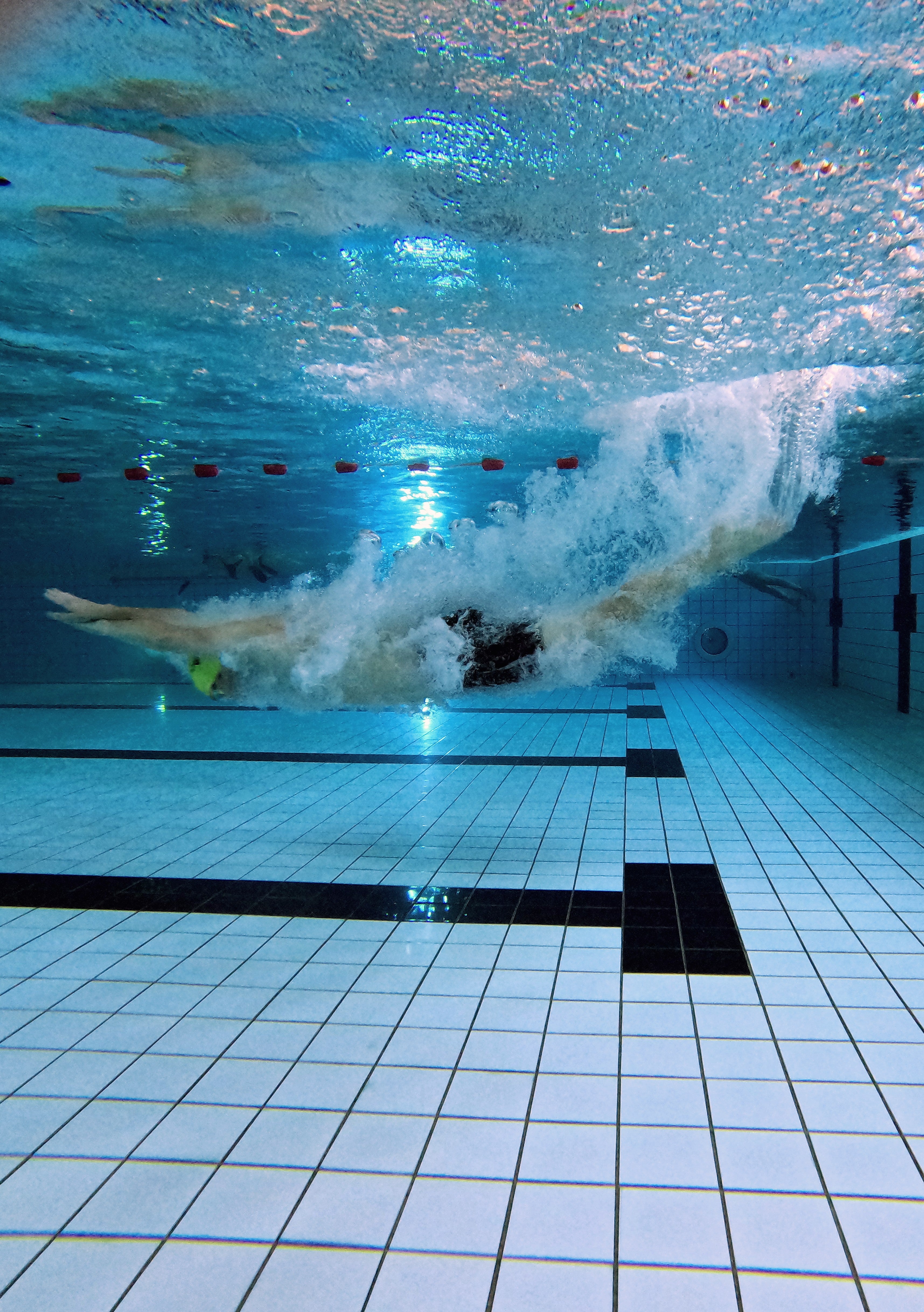 Born from a Passion for Swimming