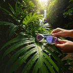 luwa Apex Elite navy blue swimming goggles with purple mirrored lenses and adjustable strap.